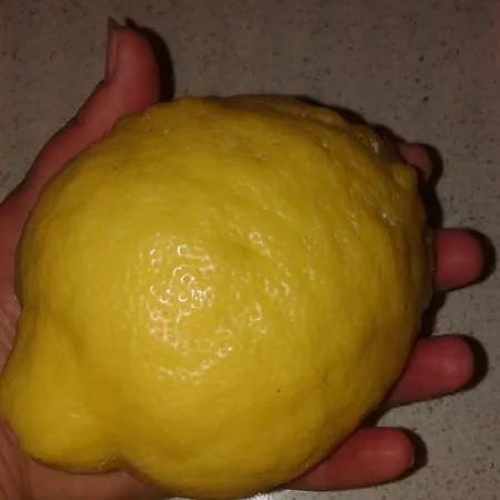 فندق مبيت وإفطار Lasso Felice *