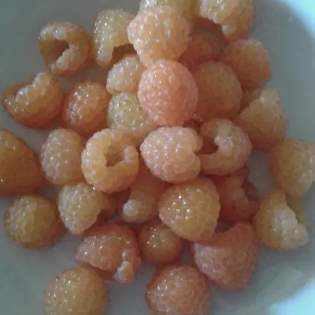 Lasso Felice فندق مبيت وإفطار Centobuchi