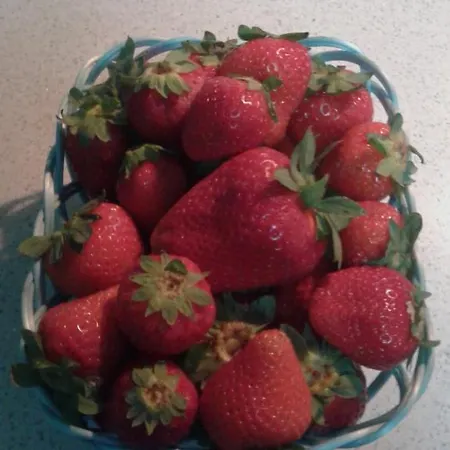 Lasso Felice فندق مبيت وإفطار