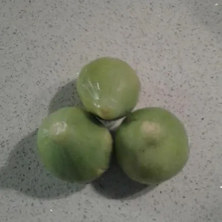 فندق مبيت وإفطار Lasso Felice Centobuchi