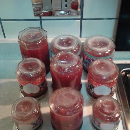 Lasso Felice Centobuchi