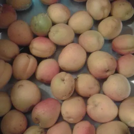 فندق مبيت وإفطار Lasso Felice *