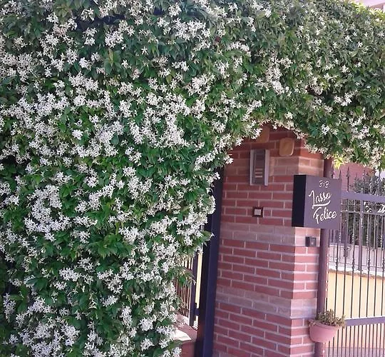 Lasso Felice 住宿加早餐酒店