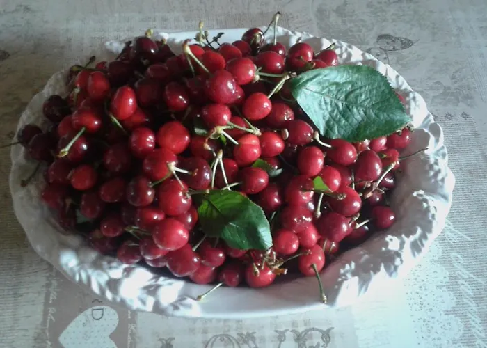 Lasso Felice Centobuchi